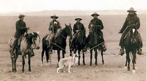 Cowboys and Wolf Low Res